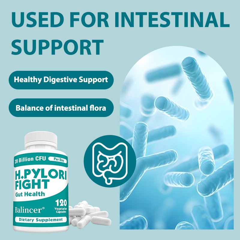 Probiotic 60 Billion - H. Pylori Defense Probiotics 20 Billion